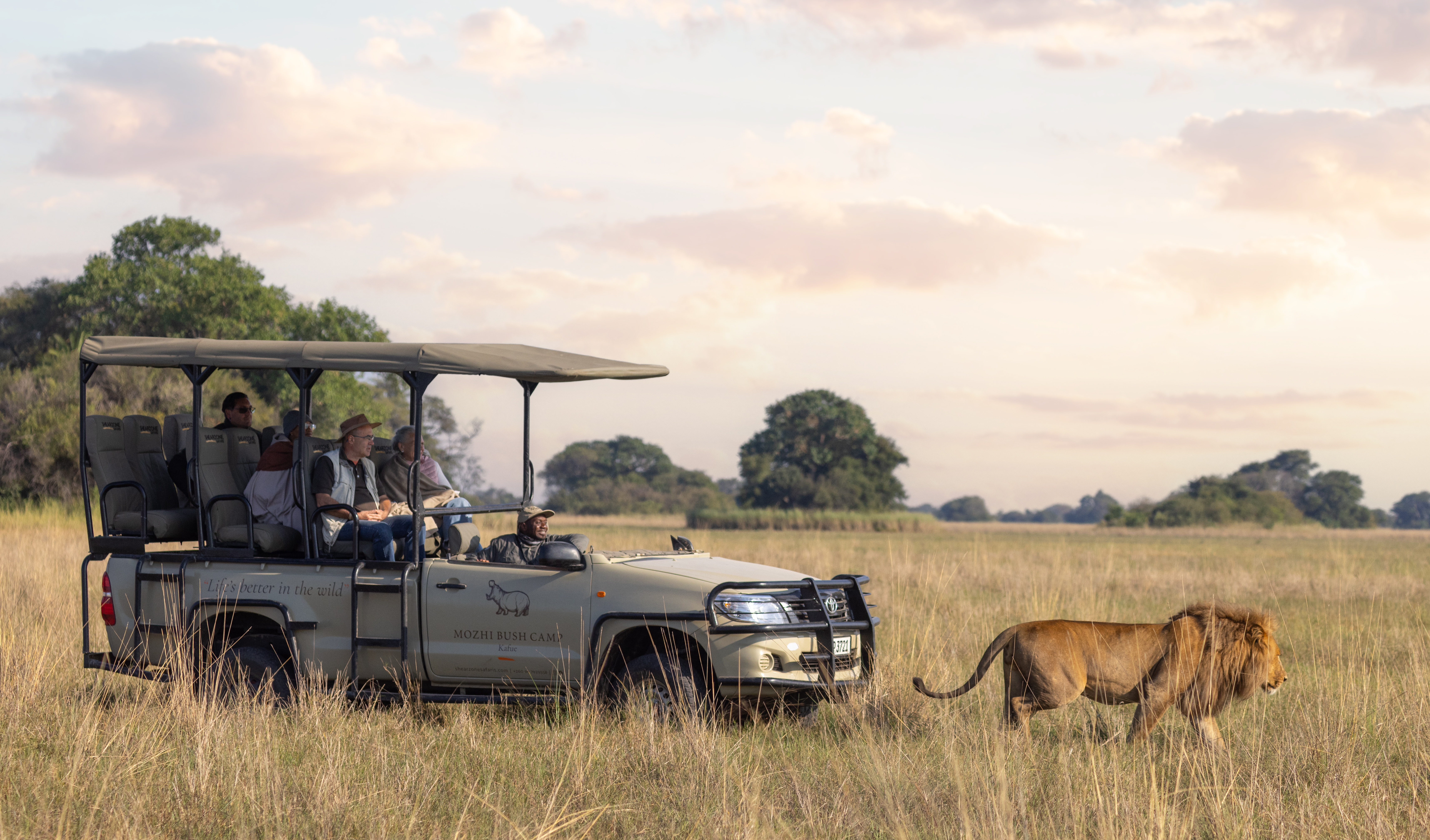 Busanga Plains Experience