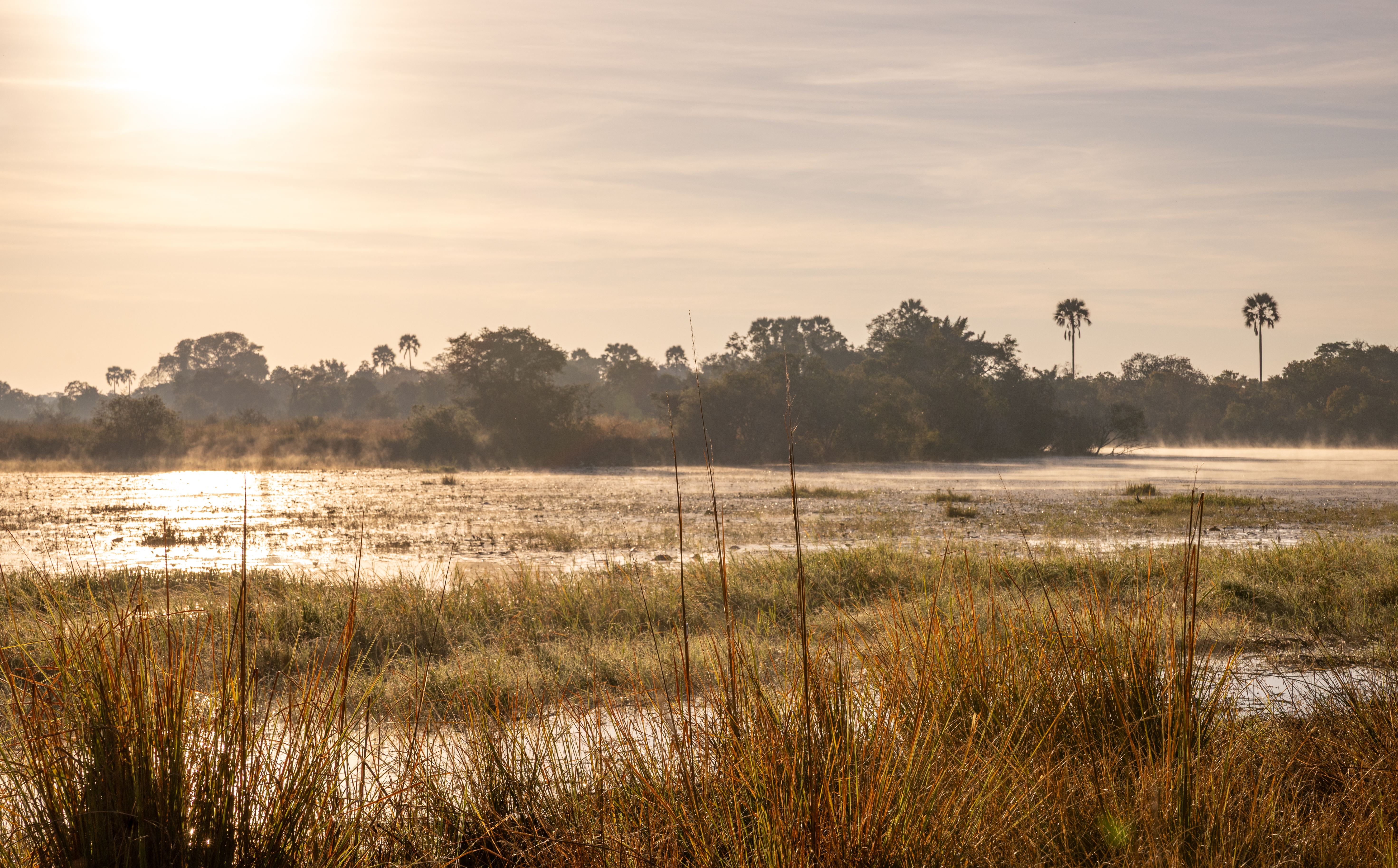 Mozhi Plains Experience